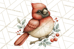 Backyard Bird Feeder Nature Clipart Product Image 5