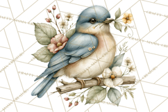 Backyard Bird Feeder Nature Clipart Product Image 3
