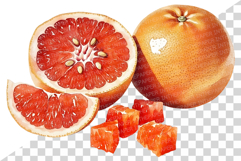 Red Grapefruit PNG | Watercolor Fruit Sweet Juicy Summer Product Image 6