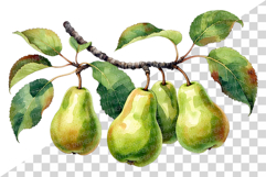 Red Pear | Watercolor fruit fresh ripe juicy png Clipart Product Image 6