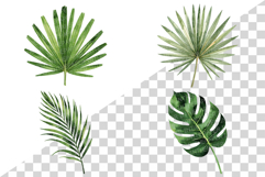 Tropical Green Leaves | Watercolor Botanical Foliage Clipart Product Image 6