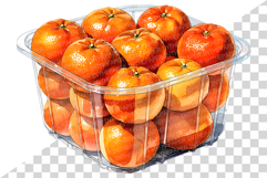 Orange | Watercolor fresh citrus fruit farm harvest png Clip Product Image 6