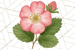 Strawberry Stationery Clipart, Pastel Office Supplies Png Product Image 4