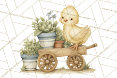 Vintage Spring Chicks Clipart, Cute Baby Chick Gardening Product Image 4
