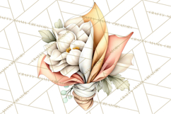 Soft Minimal Neutrals PNG, Beige Taupe Cream Clipart Product Image 4