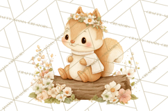 Baby Forest Animals Clipart PNG, Cute Spring Woodland Animal Product Image 4