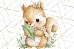 Baby Forest Animals Clipart PNG, Cute Spring Woodland Animal Product Image 2