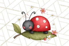 Happy Bug Friends Clipart, Ladybugs, Bees, Butterflies Png Product Image 2