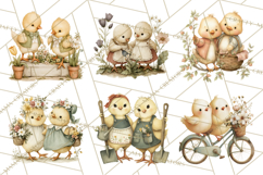 Vintage Spring Chicks Clipart, Cute Baby Chick Gardening Product Image 9