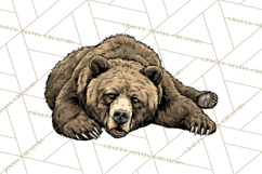 Funny Animals Clipart, Animal Life Png, Funny Png Product Image 3