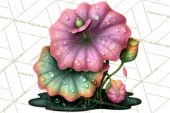 Cute Turtle Frog Alligator Pond Animals Clipart PNG Product Image 5