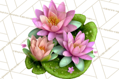 Cute Turtle Frog Alligator Pond Animals Clipart PNG Product Image 3