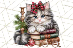 Dark Academia Christmas Clipart Royal Stewart Tartan PNG Product Image 4