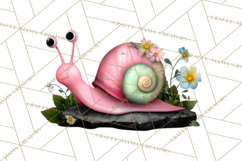 Cute Turtle Frog Alligator Pond Animals Clipart PNG Product Image 5