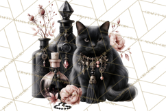 Gothic Witch Apothecary PNG Clipart Product Image 2