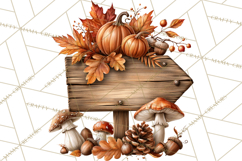 Autumn Critters PNG Cute Woodland Clipart Product Image 2