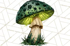Spooky Halloween Mushrooms PNG, Fall Mushroom Fungus Product Image 4