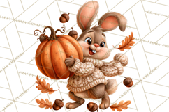 Autumn Critters PNG Cute Woodland Clipart Product Image 4