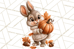 Autumn Critters PNG Cute Woodland Clipart Product Image 5