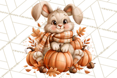 Autumn Critters PNG Cute Woodland Clipart Product Image 2