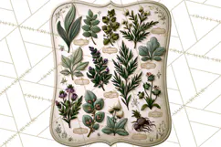 Vintage Apothecary World PNG Product Image 5