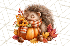Autumn Critters PNG Cute Woodland Clipart Product Image 3