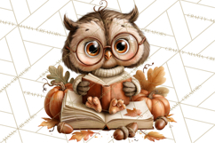 Autumn Critters PNG Cute Woodland Clipart Product Image 4