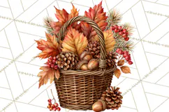 Autumn Critters PNG Cute Woodland Clipart Product Image 2