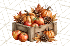Autumn Critters PNG Cute Woodland Clipart Product Image 5