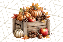 Autumn Critters PNG Cute Woodland Clipart Product Image 2