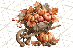 Autumn Critters PNG Cute Woodland Clipart Product Image 3