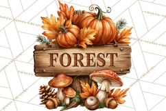 Autumn Critters PNG Cute Woodland Clipart Product Image 5