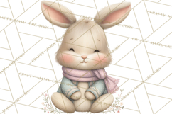 Easter Bunny Clipart PNG, Cute Bunny Characters, Pastel Product Image 2