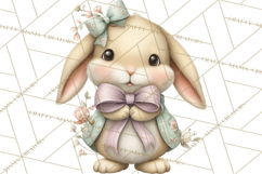 Easter Bunny Clipart PNG, Cute Bunny Characters, Pastel Product Image 3