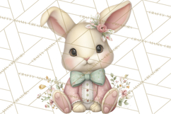 Easter Bunny Clipart PNG, Cute Bunny Characters, Pastel Product Image 3