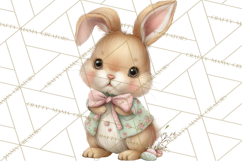 Easter Bunny Clipart PNG, Cute Bunny Characters, Pastel Product Image 2