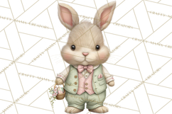 Easter Bunny Clipart PNG, Cute Bunny Characters, Pastel Product Image 4