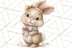 Easter Bunny Clipart PNG, Cute Bunny Characters, Pastel Product Image 2