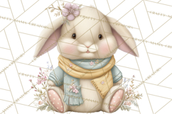 Easter Bunny Clipart PNG, Cute Bunny Characters, Pastel Product Image 2
