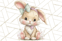 Easter Bunny Clipart PNG, Cute Bunny Characters, Pastel Product Image 3