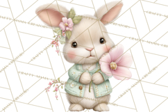 Easter Bunny Clipart PNG, Cute Bunny Characters, Pastel Product Image 5