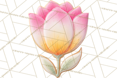 Easter Cookies Clipart, Bunny Chick Egg Carrot Flower PNG Product Image 3