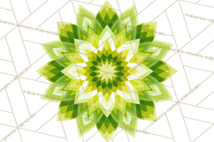 Retro 70s Psychedelic Clipart PNG, Groovy Flowers Product Image 5