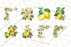 Vintage Lemon Botanical PNG Clipart, Citrus Fruit Product Image 2