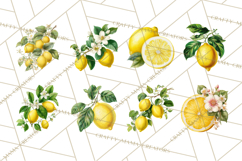 Vintage Lemon Botanical PNG Clipart, Citrus Fruit Product Image 9