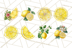 Vintage Lemon Botanical PNG Clipart, Citrus Fruit Product Image 8