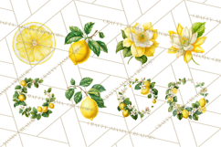 Vintage Lemon Botanical PNG Clipart, Citrus Fruit Product Image 7