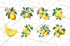 Vintage Lemon Botanical PNG Clipart, Citrus Fruit Product Image 4