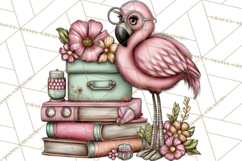 Flamingo Librarian Reading Clipart PNG Product Image 4
