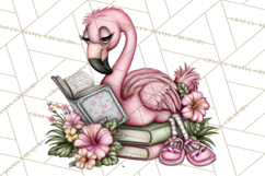 Flamingo Librarian Reading Clipart PNG Product Image 5